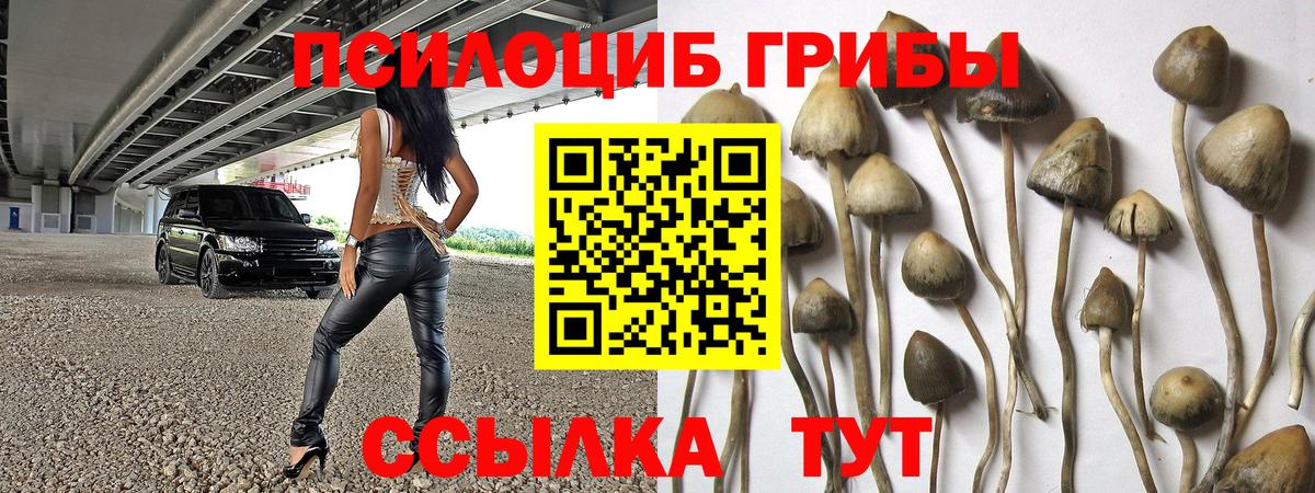 Назрань  Галлюциногенные грибы Psilocybine cubensis  Вход с VPN 